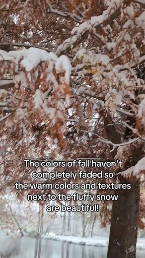 We enjoyed the first snow of the season! How about you?! 💙💙🌨️❄️ . . . . . #snowday #snow #dayton #ohio #nature #metroparks #fiveriversmetroparks | Five Rivers MetroParks