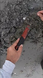 On the beach while I was metal detecting in search of the lost treasure digging around to see what I can find #metaldetecting #treasure #beach | Skylar