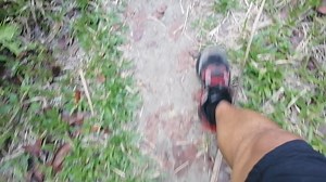 Cebu Go Go Adventure on Reels