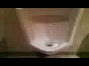 Eljer urinal flushes by itself