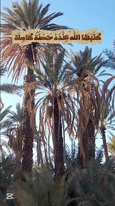 The virtue of intending to do good and refraining from evil 🎧❤ #Hadith #Hadiths #GoodDeeds #BadDe...