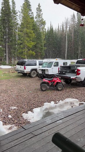 Allen Anderson on Reels