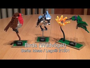 Test LEGO Birds - Wildvögel (Ideas Set 21301 im Review)