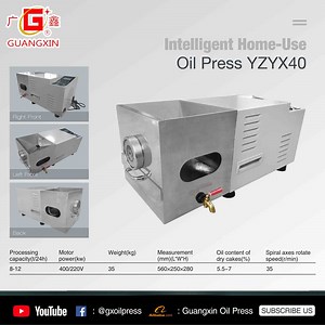 [Hot Item] Shea Nut Oil Press Machine