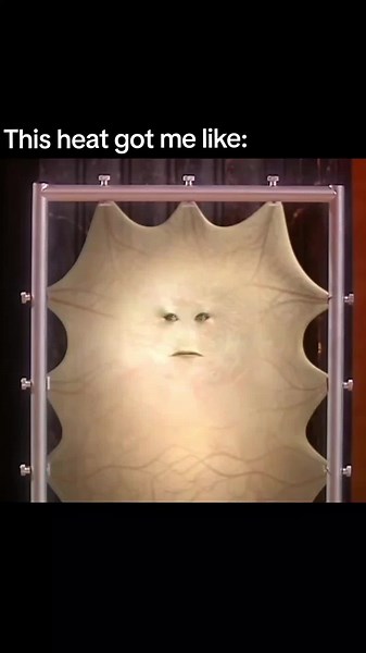 Doctor Who Cassandra Explodes in Moisturize Me Scene