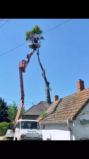 Sándor Hartl on Reels