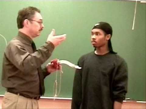 RESPIRATORY CARE: Vital Capacity.wmv