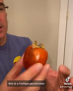 38K views · 503 reactions | Plant a persimmon tree now, and thank me...