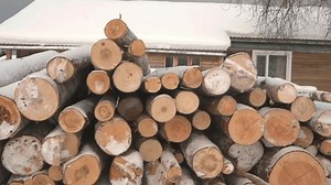 Snowcovered Logs Front House Perfect Cozy: стоковое видео (без лицензионных платежей), 3515485719 | Shutterstock