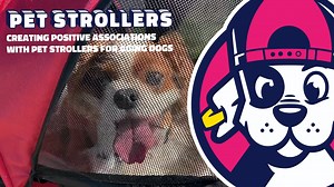 As our beloved canine companions age, maintaining their physical and mental health becomes increasingly important. Pet strollers for ageing dogs not only offer a new mode of transportation and environmental enrichment for senior dogs but also ensure they continue leading a healthy lifestyle despite physical limitations. This article delves into the world of positive reinforcement training techniques to help create a positive association with pet strollers. It demonstrates how desensitisation and