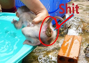 Alien Shit is Much and Smell so Hard and Mom Immediately Clean it