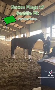 Schleese Saddlery Service on Reels