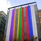 Trangender Bars in Maryland