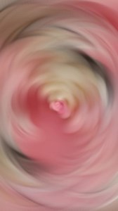 Celebrating Astrae’s 1st birthday with a simple single panel backdrop! ✨ Soft pastel pinks, nude tones, and big blooms to make her day extra special. Here’s to a year of joy and love! For details on our Promos & Packages you may message us directly on our page! #AstraeTurnsOne #SweetCelebration #1stbirthday #partyparadiseph #themepartydecor #balloongarland #backdropdesign #backdrop #backdropdecoration #partyideasforgirls #styling #panelbackdrop | Party Paradise Ph | Facebook