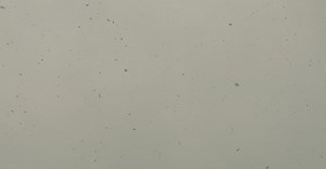 Video by Sema on Pexels