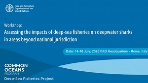 Assessing the impacts of deep-sea fisheries on deepwater sharks in ABNJ-Day3-Session2