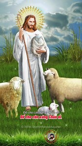 Tình yêu Chúa cao vời biết bao Nào con biết đáp đền thế nào, Để cho cân xứng Chúa ơi, Để cho cân xứng Chúa ơi. Ôi tình yêu thương Chúa cao vời Tình yêu thương Chúa muôn đời Người yêu con từ ngàn xưa. Từ khi chưa có đồi non Từ khi chưa có trời cao Chưa có vầng trăng với ngàn sao Gọi con giữa muôn muôn người Tìm con giữa nơi bùn nhơ. *** #continthacvaochua | Con Tín Thác Vào Chúa