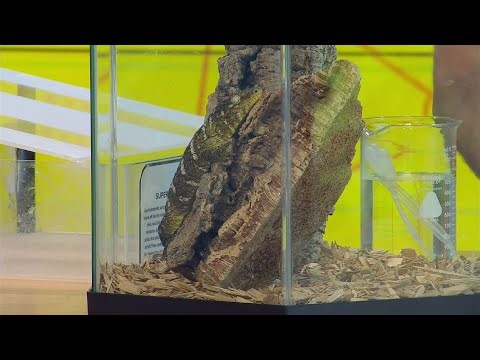 ROPER MOUNTAIN SCIENCE CENTER