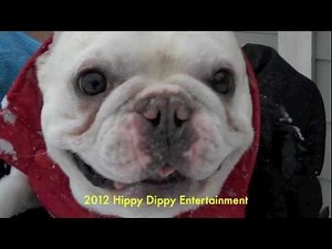 Alien Dog Rides the Snow