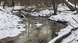 Wolf Lake State Fish Hatchery and Visitor Center on Reels