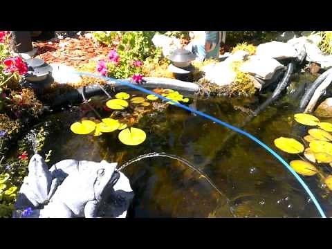How To Clean Pond Spitters