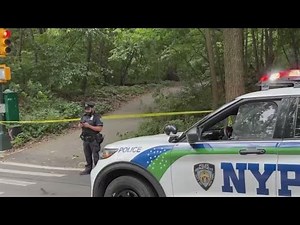 Woman sunbathing in Central Park attacked: police