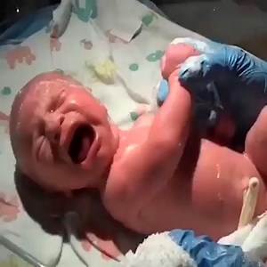 1.5K views · 108 reactions | Bathing a newborn baby | Babies | Facebook