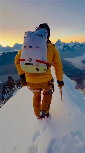 2.5K views · 227 reactions | @leoslemett It was even more that I...