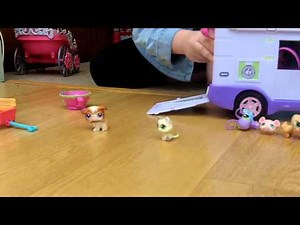 Littlest Pet Shop Summer Camp