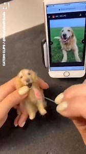 Need one of these immediately 😍 | Metro