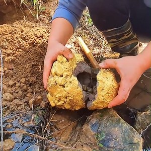 4.1M views · 10K reactions | So lucky I found the legendary alien golden helmet and opened it. #share #usa #gold | Chak Krythink | Facebook