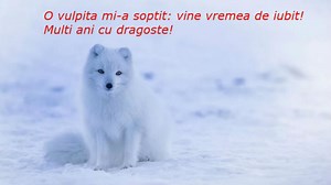 POZE REVELION 2020 // Felicitari de Anul Nou in imagini. Cele mai frumoase poze cu LA MULTI ANI