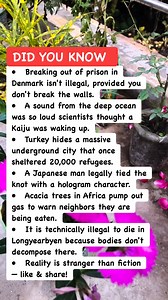 Laws & Facts That Sound Fake 🚫#bizarre #mystery #law | Math & Puzzle
