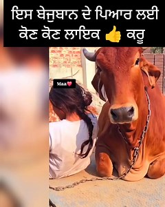 4K views · 44 reactions | Hindi Portal on Reels | Facebook