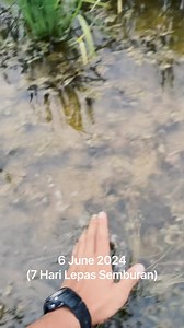 26K views · 97 reactions | POV Demo Plot - Basag**n M60 untuk kawalan...