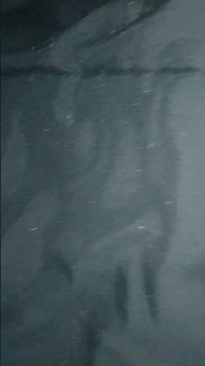 Sister in laws passed out cold feet