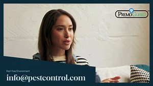 Premo Plus+ Bed Bug Spray Extra Strength – 128 oz – Fast Acting Bed Bug Treatment & Killer – Stain & Scent Free – Child & Pet Safe – Powerful New Stronger Formula – Natural with No Harmful Chemicals