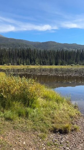An incredible afternoon at Loon Lake yesterday. Hot weather, great swimming and quiet. Later in the afternoon we drove up along the Telkwa River and sat on its bank in the shade. Home! #markthibeault #noonpowellfineart #artworksbc #bugeralambfineart #bulkleyvalley #tourismbc #camping #outdoors #tourismsmithers #rivers #lakes | Mark Thibeault