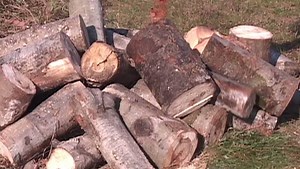 187K views · 1.2K reactions | Tried and true log handling tools that don't let logs get the better of you... Norwood Portable Sawmills www.norwoodsawmills.com/log-handling | Norwood Portable Sawmills | Facebook