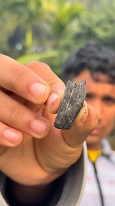 Making snake eggs and coal fire for survival #camping #bushcraft #survival #facts #skills #lifehacks #outdoors #ideas | Sentopro