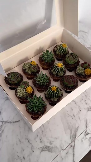 3.5K views · 68 reactions | A dozen cactus and succulent cupcakes  in a mixture of chocolate and vanilla #buttercream #edibleart #cupcakeinspo #sydneycupcakes #cupcakeartist #floralpiping #cakelove #boucakes #cupcakes #baking #cupcakeart #cupcakeoftheday #instacake #cakesofinstagram #cupcakedesign #pipingflowers #cakeideas #instabake #succulents #cactuscupcake #cakeworld #wilton #succulentcupcake #succulentcake | The Cupcake Floristry | Facebook