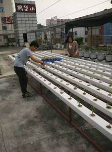 [Hot Item] Hydroponic Nft Growing Systems Hydroponics PVC Square Nft System Pipe