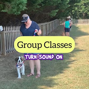 98 reactions · 28 shares | Hey Puppy Parents ‍♀️ Group Classes are...