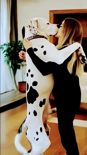 The love of woman and dog #cut​ #goldenretriever​ #xxx #dogsex