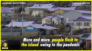 "Purple Islands": How residents of South Korea's Banwol and Bakji Islands have painted their houses, roads and bridges in shades of purple, inspired by their native balloon flower See pics: https://www.wionews.com/photos/not-a-cult-why-are-these-south-korean-islands-drenched-in-purple-370476 | WION