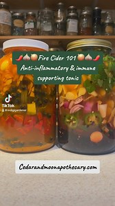 106 reactions · 44 shares | Lets talk about fire cider! Everyone makes it, but no two recipes are ever the same. I love that about this remedy, its pretty much impossible to mess up. Its anti inflammatory and immune supporting properties are hard to beat! #firecider #fireciderrecipe #naturalremedies #holistichealth #cedarandmoonapothecary #indigigardener #antinflammatorydiet #healthtonic #foragetok #wellnesstok | Cedar and Moon Apothecary | Facebook