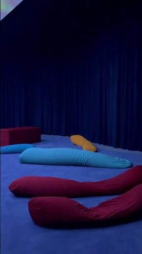 Homo Sapiens Sapiens - Pipilotti Rist