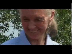Climate Change and JGI