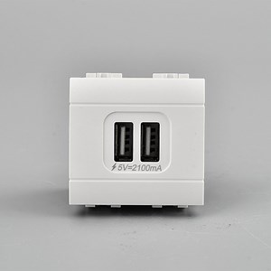 [Hot Item] Standard Grounding Electric Wall Sockets Universal Double USB Power Socket