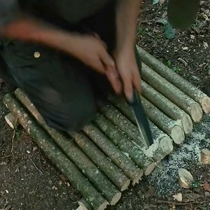 A cozy log cabin for survival under an upturned root #bushcraft #bushcraft #bushcrafter #bushcrafters #bushcrafting #bushcraftgear #bushcraftknife #bushcrafttools #bushcraftskills #bushcraftcamping #bushcraftsurvival #bushcrafting #bushcraftgear #bushcraftlife #bushcraftcamp | JR Solo